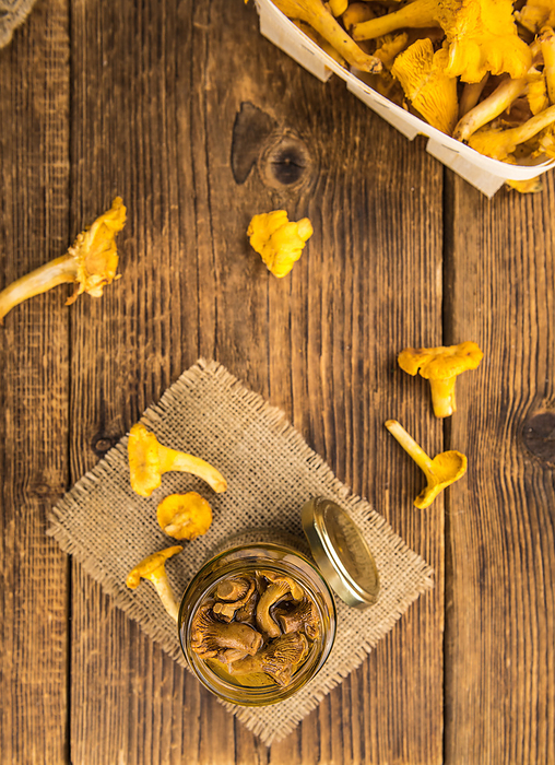Portion of Preserved chanterelles, selective focus Portion of Preserved chanterelles, selective focus, by Zoonar Christoph Sch