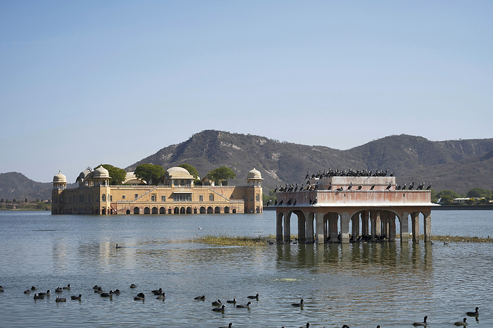 Jal Mahal or Water Palace is a palace in the middle of the Man Sagar Lake, built in the Rajput style of architecture on a grand scale, Jaipur, Rajasthan, India Jal Mahal or Water Palace is a palace in the middle of the Man Sagar Lake, built in the Rajput style of architecture on a grand scale, Jaipur, Rajasthan, India, by Zoonar RealityImages