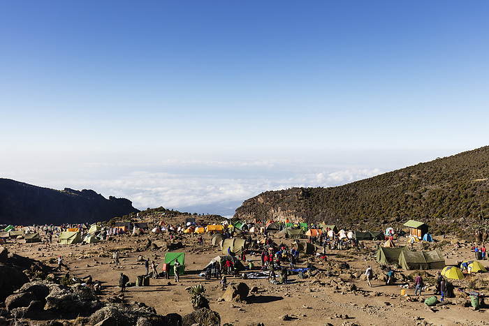 East Africa, Tanzania, Kilimanjaro National Park, Unesco World Heritage site, Barranco Camp Barranco Camp, Kilimanjaro National Park, UNESCO World Heritage Site, Tanzania, East Africa, Africa