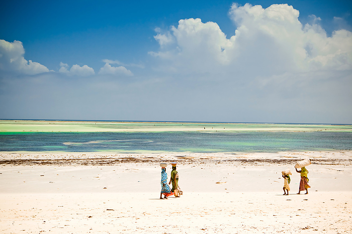 African Women Walking on the beach, Zanzibar Island, Tanzania African women walking on the beach, Zanzibar Island, Tanzania, East Africa, Africa