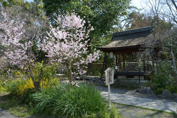 Precincts of Munakata Shrine Kyoto Gyoen, Kamigyo-ku, Kyoto