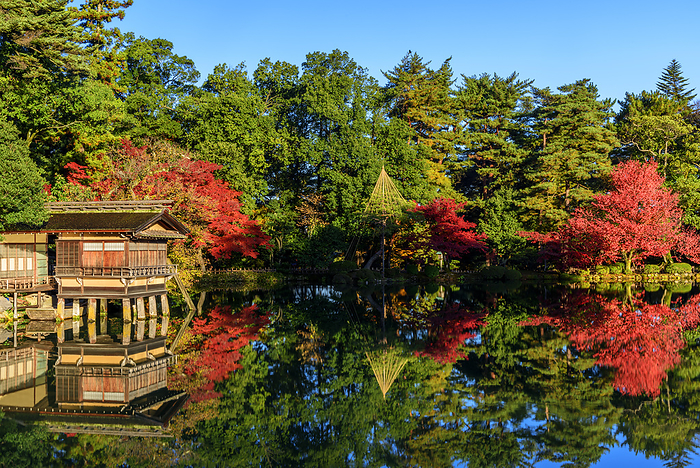 Rikugien Garden in Ishikawa Prefecture, autumn leaves, Kasumigaike Pond, morning view