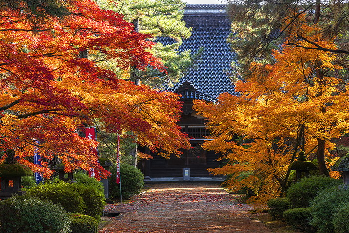 Autumn leaves at Tentokuin Temple, Ishikawa, Japan Temple of Tamahime