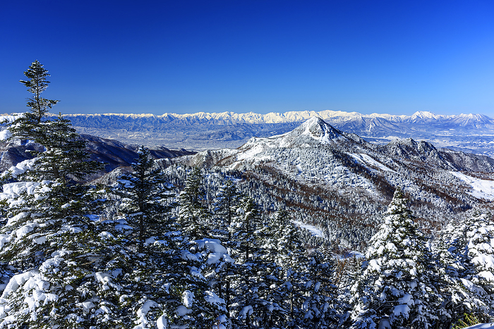 Kasagatake and snowy view of the Northern Alps from Yokoteyama, Shiga Kogen, Nagano Pref.