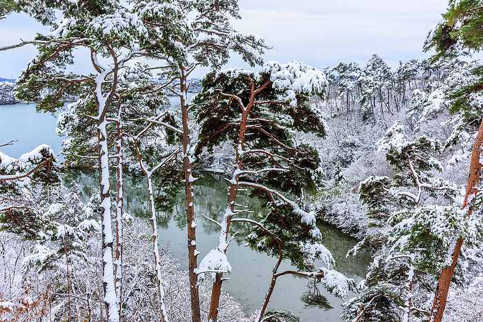 From the vicinity of Zuihogaoka, Snowy Matsushima, Miyagi Prefecture