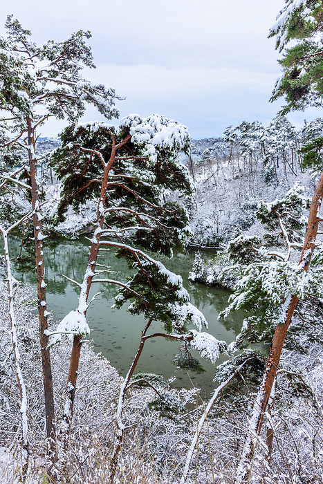 From the vicinity of Zuihogaoka, Snowy Matsushima, Miyagi Prefecture