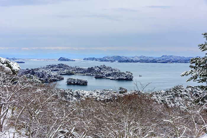 At Saigyo-returning Pine Park, Matsushima in snow, Miyagi Prefecture