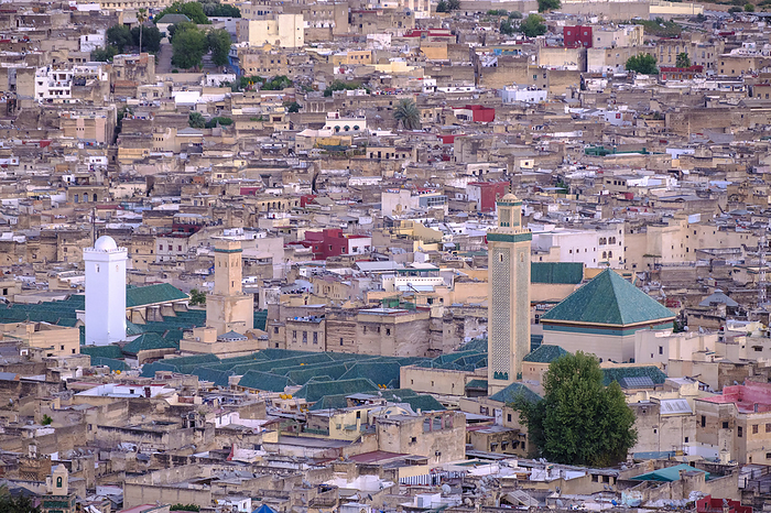 Al Karaouine Mosque Al Karaouine Mosque, by Zoonar TOLO BALAGUER