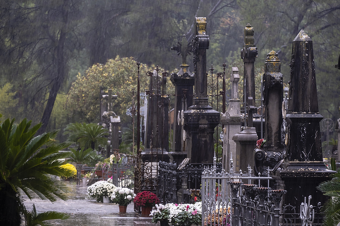 Soller cemetery Soller cemetery, by Zoonar Tolo