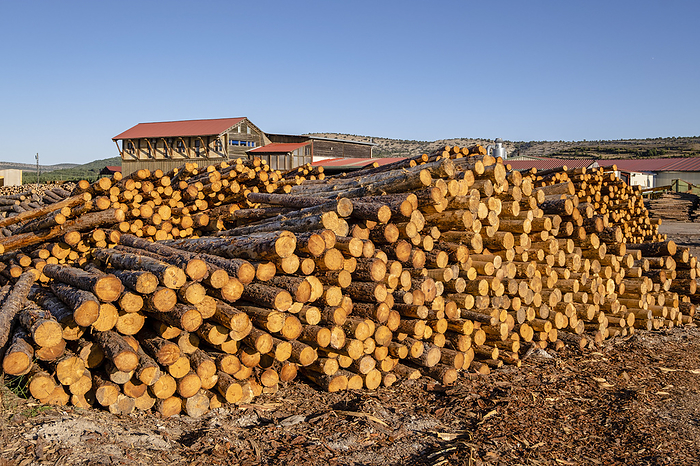 industria de la madera industria de la madera, by Zoonar Bartomeu Bala