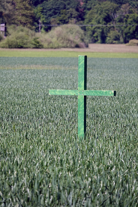 Green cross on a field Green cross on a field, by Zoonar Volker Rauch