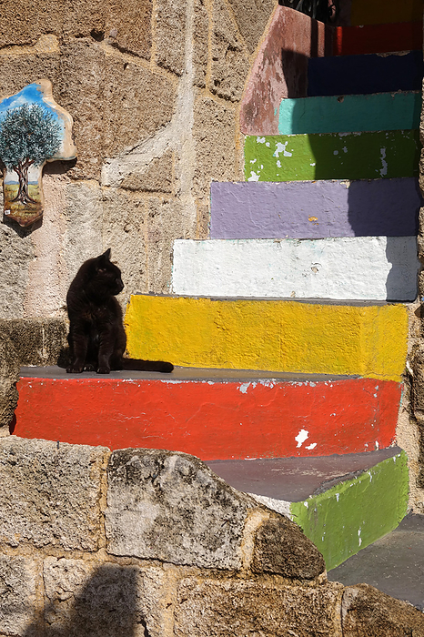 Cat on a colorful staircase in Rhodes city Cat on a colorful staircase in Rhodes city, by Zoonar Volker Rauch