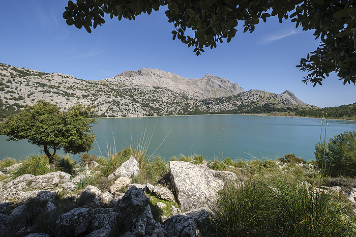 Cuber Reservoir and Puig Major Cuber Reservoir and Puig Major, by Zoonar Tolo