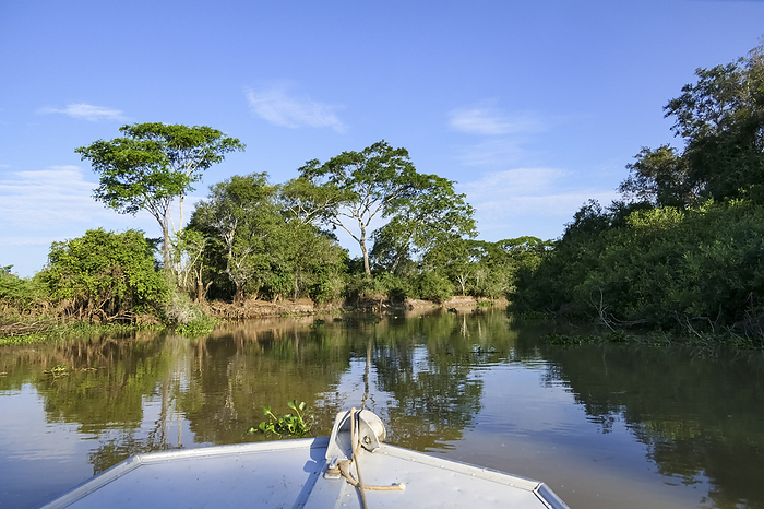 View of a typical Pantanal river from a boat on a sunny day, Pantanal Wetlands, Mato Grosso, Brazil View of a typical Pantanal river from a boat on a sunny day, Pantanal Wetlands, Mato Grosso, Brazil, by Zoonar Uwe Bergwitz