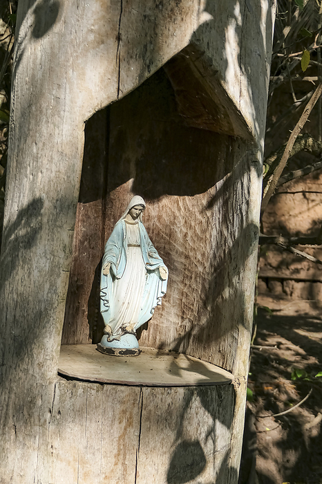 Madonna Statue standing in a carved niche of a tree stump, Pantanal Wetlands, Mato Grosso, BrazilUwe Madonna Statue standing in a carved niche of a tree stump, Pantanal Wetlands, Mato Grosso, BrazilUwe, by Zoonar Uwe Bergwitz