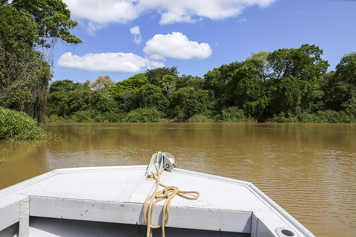 View of a typical Pantanal river from a boat on a sunny day with reflections of the vegetation on th View of a typical Pantanal river from a boat on a sunny day with reflections of the vegetation on th, by Zoonar Uwe Bergwitz