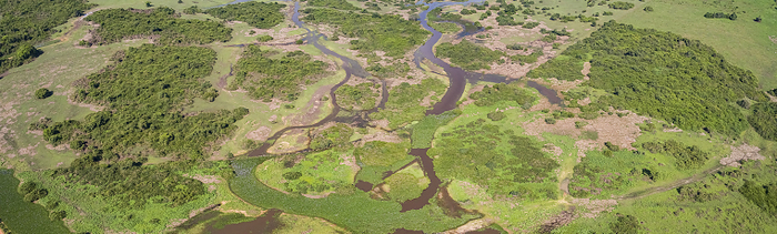 Aerial shot panorama of typical Pantanal Wetlands landscape with lagoons, forest, meadows, river, fi Aerial shot panorama of typical Pantanal Wetlands landscape with lagoons, forest, meadows, river, fi, by Zoonar Uwe Bergwitz