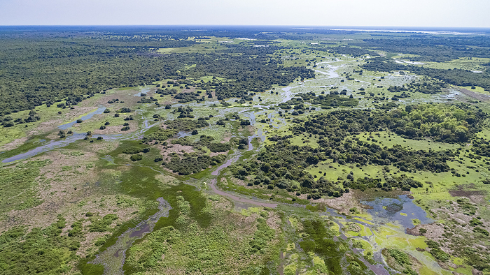 Aerial shot of typical Pantanal Wetlands landscape with lagoons, forests, meadows, rivers, fields an Aerial shot of typical Pantanal Wetlands landscape with lagoons, forests, meadows, rivers, fields an, by Zoonar Uwe Bergwitz