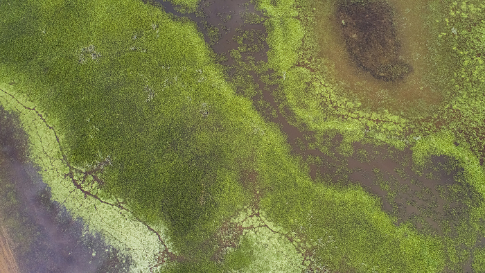 Amazing aerial view of typical Pantanal wetlands landscape with lagoons, rivers, meadows and trees, Amazing aerial view of typical Pantanal wetlands landscape with lagoons, rivers, meadows and trees,, by Zoonar Uwe Bergwitz