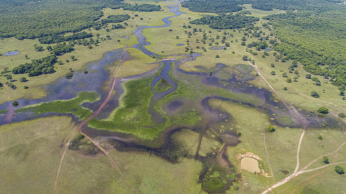 Amazing aerial view of typical Pantanal wetlands landscape crossed by dirt roads with lagoons, river Amazing aerial view of typical Pantanal wetlands landscape crossed by dirt roads with lagoons, river, by Zoonar Uwe Bergwitz