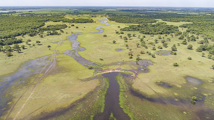 Aerial view of typical Pantanal Wetlands landscape with lagoons, rivers, meadows and forests, Mato G Aerial view of typical Pantanal Wetlands landscape with lagoons, rivers, meadows and forests, Mato G, by Zoonar Uwe Bergwitz