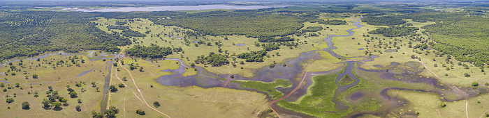 Aerial panorama of typical Pantanal Wetlands landscape with lagoons, rivers, meadows and forests, Ma Aerial panorama of typical Pantanal Wetlands landscape with lagoons, rivers, meadows and forests, Ma, by Zoonar Uwe Bergwitz