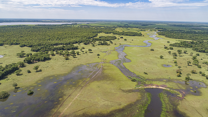 Aerial view of typical Pantanal Wetlands landscape with lagoons, rivers, meadows and forests, cloudy Aerial view of typical Pantanal Wetlands landscape with lagoons, rivers, meadows and forests, cloudy, by Zoonar Uwe Bergwitz