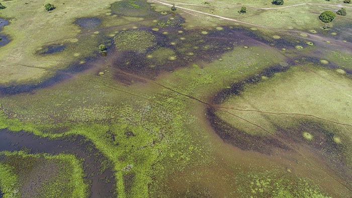 Amazing aerial view of typical Pantanal wetlands landscape with lagoons, rivers, meadows and trees, Amazing aerial view of typical Pantanal wetlands landscape with lagoons, rivers, meadows and trees,, by Zoonar Uwe Bergwitz