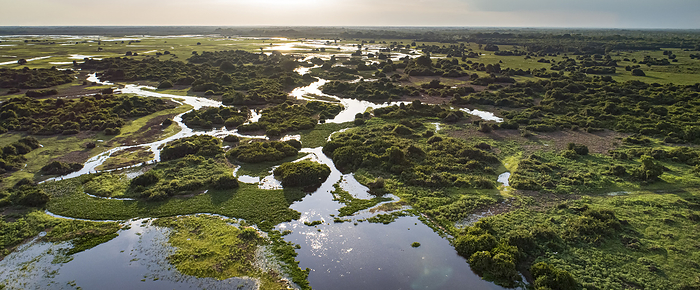 Panoramic aerial view at sunset of typical Pantanal Wetlands landscape with  lagoons, forests, meado Panoramic aerial view at sunset of typical Pantanal Wetlands landscape with  lagoons, forests, meado, by Zoonar Uwe Bergwitz