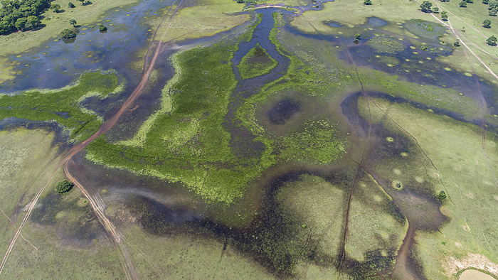 Amazing aerial view of typical Pantanal wetlands landscape crossed by dirt roads with lagoons, river Amazing aerial view of typical Pantanal wetlands landscape crossed by dirt roads with lagoons, river, by Zoonar Uwe Bergwitz