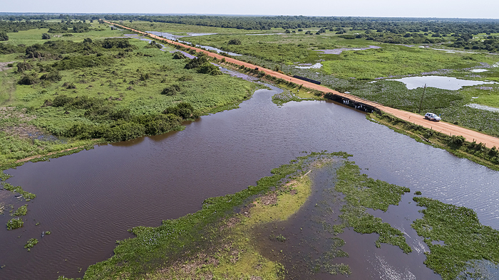 Aerial view of Transpantaneira dirt road with bridge beside a lagoon in typical landscape of North P Aerial view of Transpantaneira dirt road with bridge beside a lagoon in typical landscape of North P, by Zoonar Uwe Bergwitz