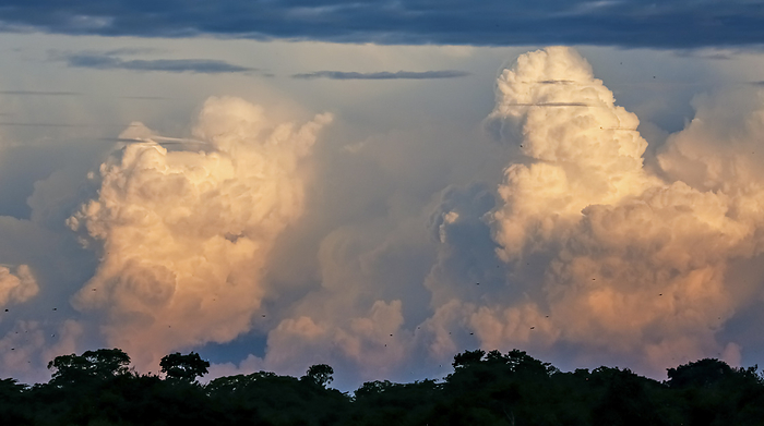 Sky with towering clouds in the evening light, Brazil Sky with towering clouds in the evening light, Brazil, by Zoonar Uwe Bergwitz