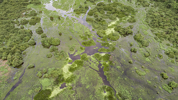 Aerial shot of typical Pantanal Wetlands landscape with lagoons, forests, meadows, river, Mato Gross Aerial shot of typical Pantanal Wetlands landscape with lagoons, forests, meadows, river, Mato Gross, by Zoonar Uwe Bergwitz