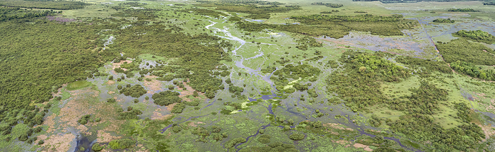 Aerial panorama of typical Pantanal Wetlands landscape with lagoons, forests, meadows, river, Mato G Aerial panorama of typical Pantanal Wetlands landscape with lagoons, forests, meadows, river, Mato G, by Zoonar Uwe Bergwitz