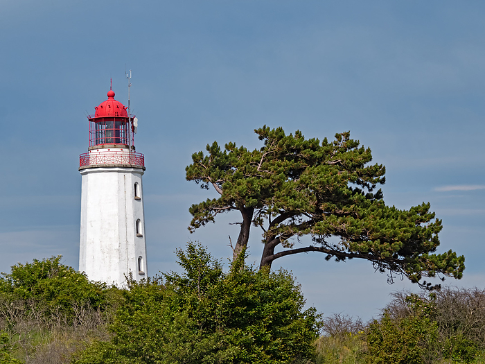 Lighthouse Dornbusch on the island Hiddensee, Germany Lighthouse Dornbusch on the island Hiddensee, Germany, by Zoonar Katrin May