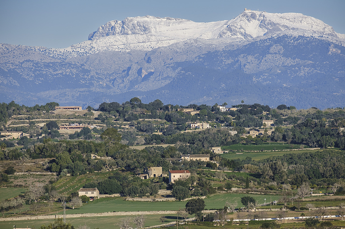Snow capped Puig Major  seen from the cultivated fields of Montuiri Snow capped Puig Major  seen from the cultivated fields of Montuiri, by Zoonar Tolo