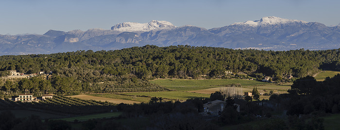 Snow capped Puig Major and snow capped Puig de Massanella seen from Randa Snow capped Puig Major and snow capped Puig de Massanella seen from Randa, by Zoonar Tolo