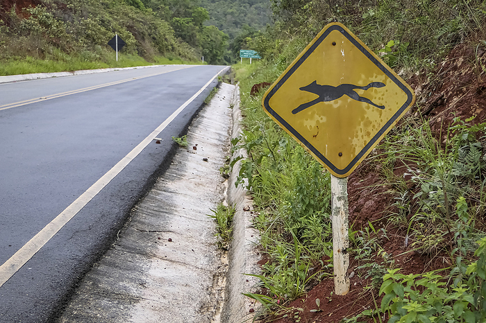 Road sign  Road sign attention crossing maned wolf, Cara a Natural Park, Minas Gerais, Brazil, by Zoonar Uwe Bergwitz