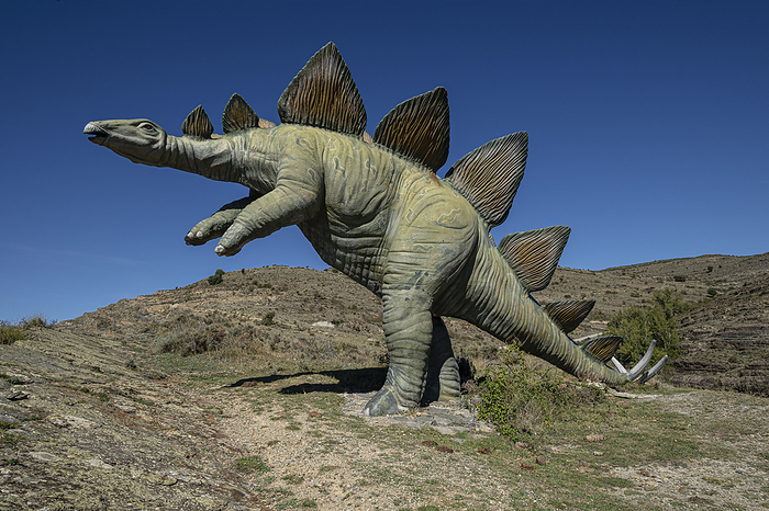 Stegosaurus Stegosaurus, by Zoonar Bartomeu Bala