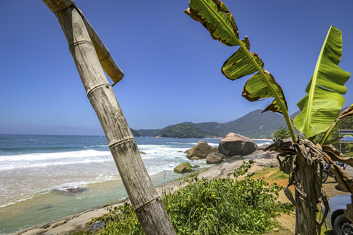 View along beautiful coastline with beach and rock slabs plants in foreground, Picinguaba, Brazil View along beautiful coastline with beach and rock slabs plants in foreground, Picinguaba, Brazil, by Zoonar Uwe Bergwitz