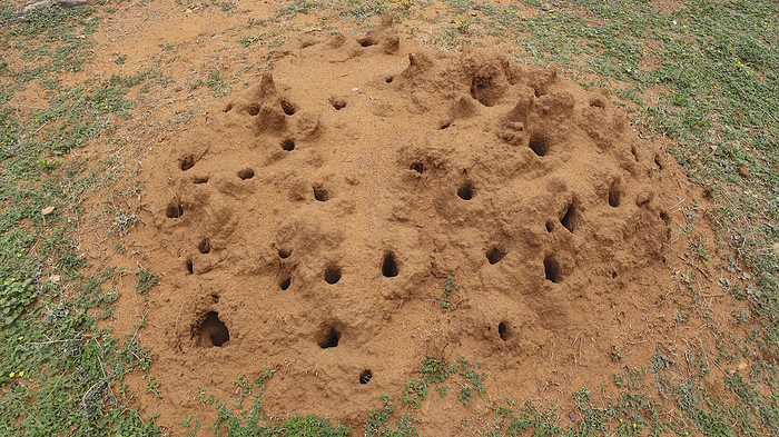 View of Anthill or Snake House, Gandikota Fort, Kadapa, Andhra Pradesh, India. View of Anthill or Snake House, Gandikota Fort, Kadapa, Andhra Pradesh, India., by Zoonar RealityImages