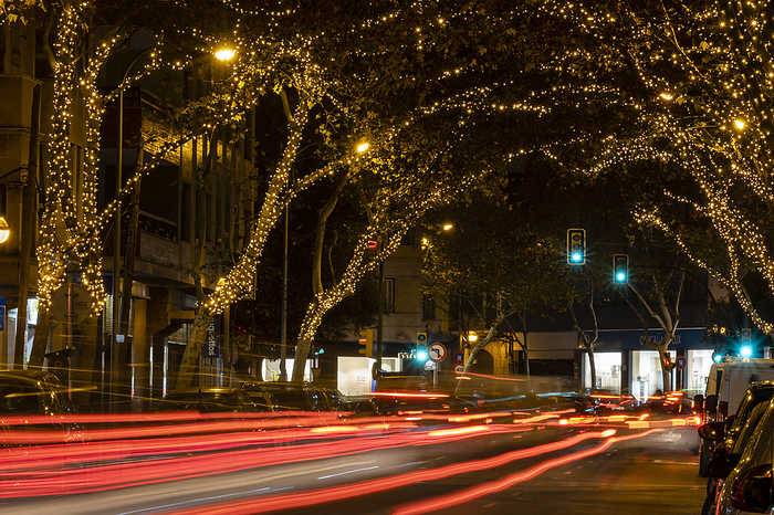 trees with Christmas lighting trees with Christmas lighting, by Zoonar Bartomeu Bala