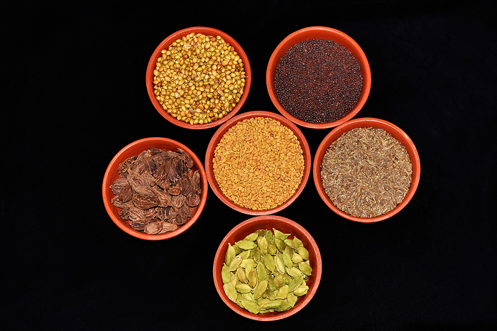 Top view of Indian spices, Fenugreek seeds, Coriander seeds, Cardamom Black, Cardamom Green, Cumin seeds, Mustard seeds in clay bowls on a Black Background, Maharashtra Top view of Indian spices, Fenugreek seeds, Coriander seeds, Cardamom Black, Cardamom Green, Cumin seeds, Mustard seeds in clay bowls on a Black Background, Maharashtra, by Zoonar RealityImages