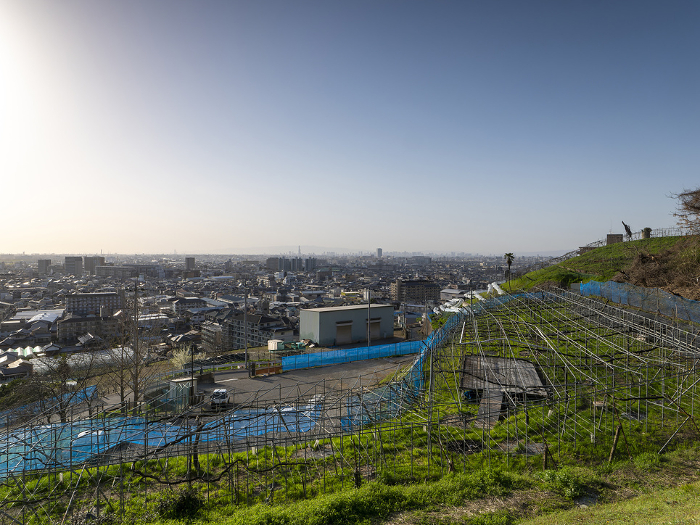 A view of Osaka from the observatory in Kashiwabara City