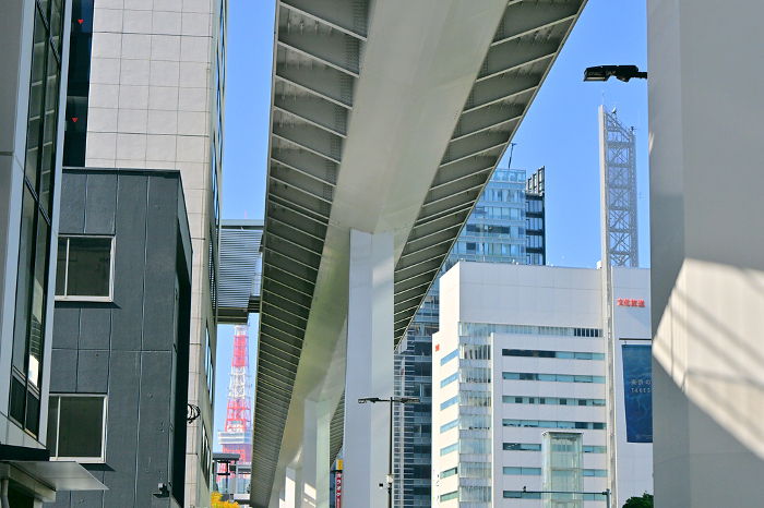 Hamamatsucho Station - Takeshiba Pier Pedestrian Deck