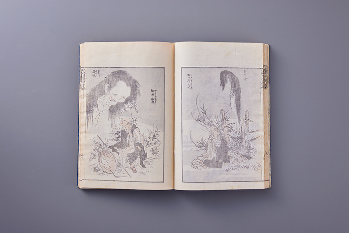 Japanese book (Hokusai Manga)