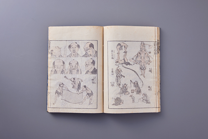 Japanese book (Hokusai Manga)