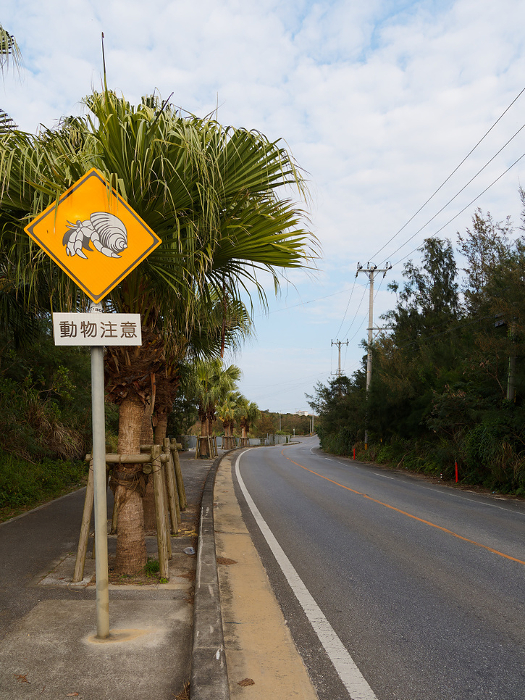 Hermit Crab Warning Road Sign on Miyako Island