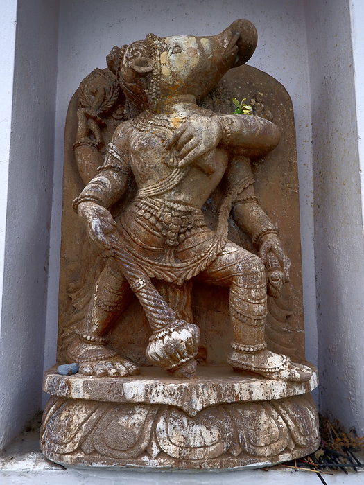 Varaha or Boar Narasimha Sandstone Statue, Jagannath Temple, Paduwa, Katni, Orissa, India Varaha or Boar Narasimha Sandstone Statue, Jagannath Temple, Paduwa, Katni, Orissa, India, by Zoonar RealityImages