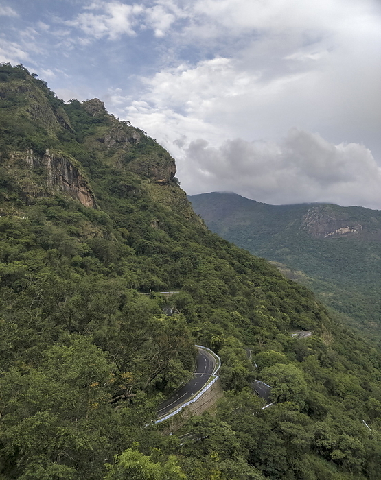 Ghat at Anaimalai or Anamala Hills, also known as the Elephant Mountains, Western Ghats, India Ghat at Anaimalai or Anamala Hills, also known as the Elephant Mountains, Western Ghats, India, by Zoonar RealityImages